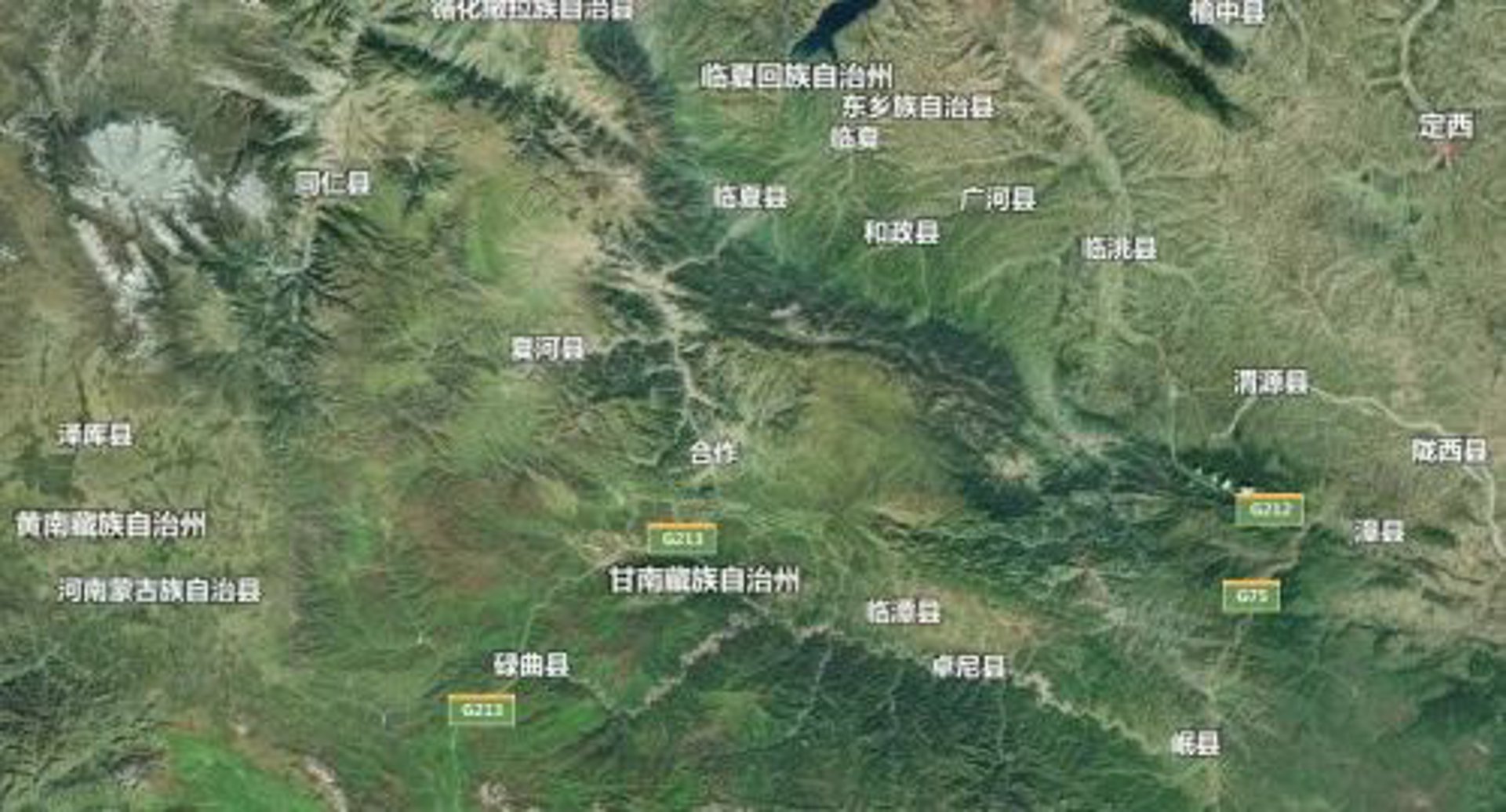 洮泽丝网
